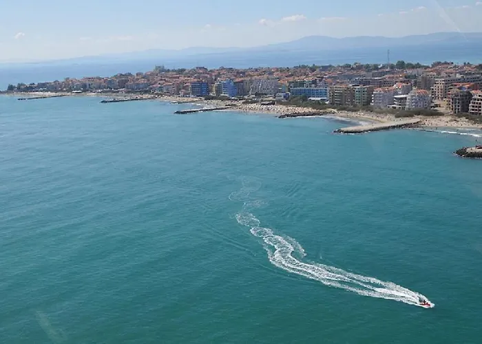 Sofia Family ポモリエ